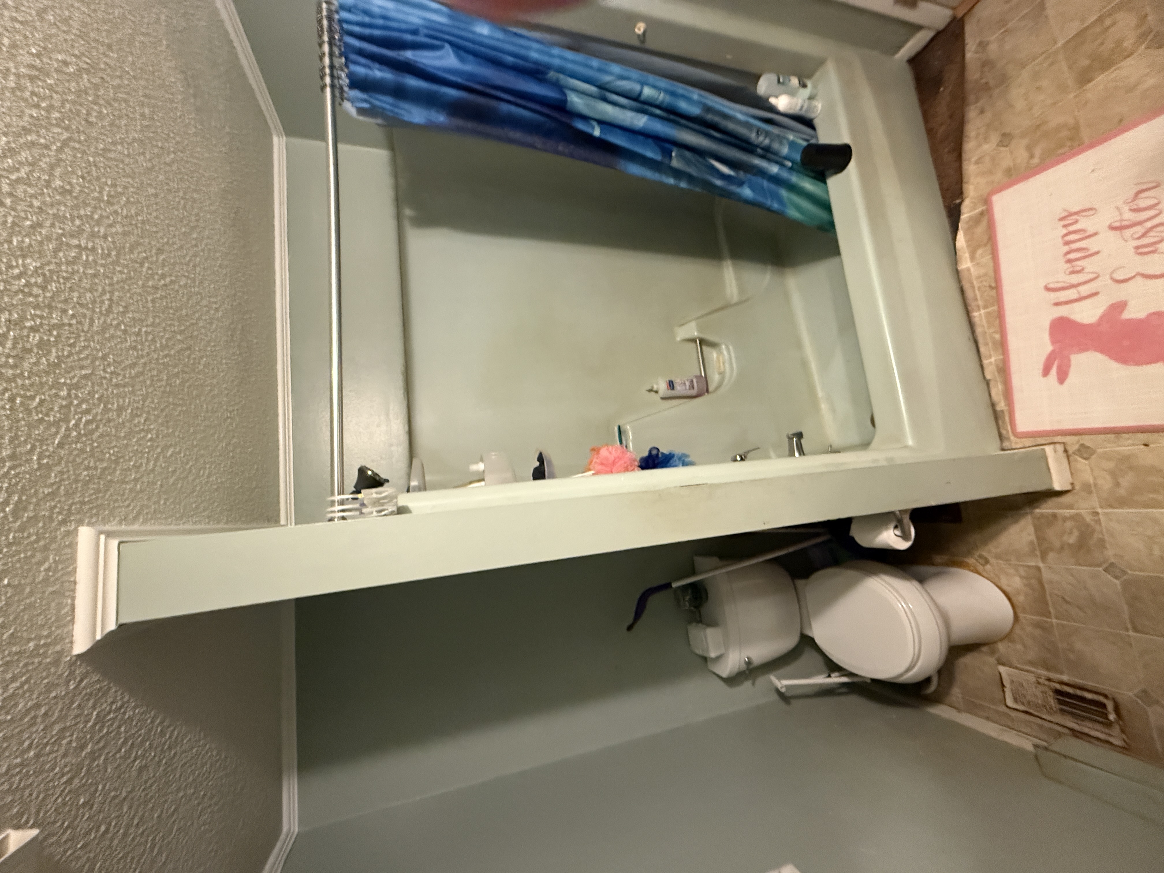 Bathroom before remodeling - Brothers project